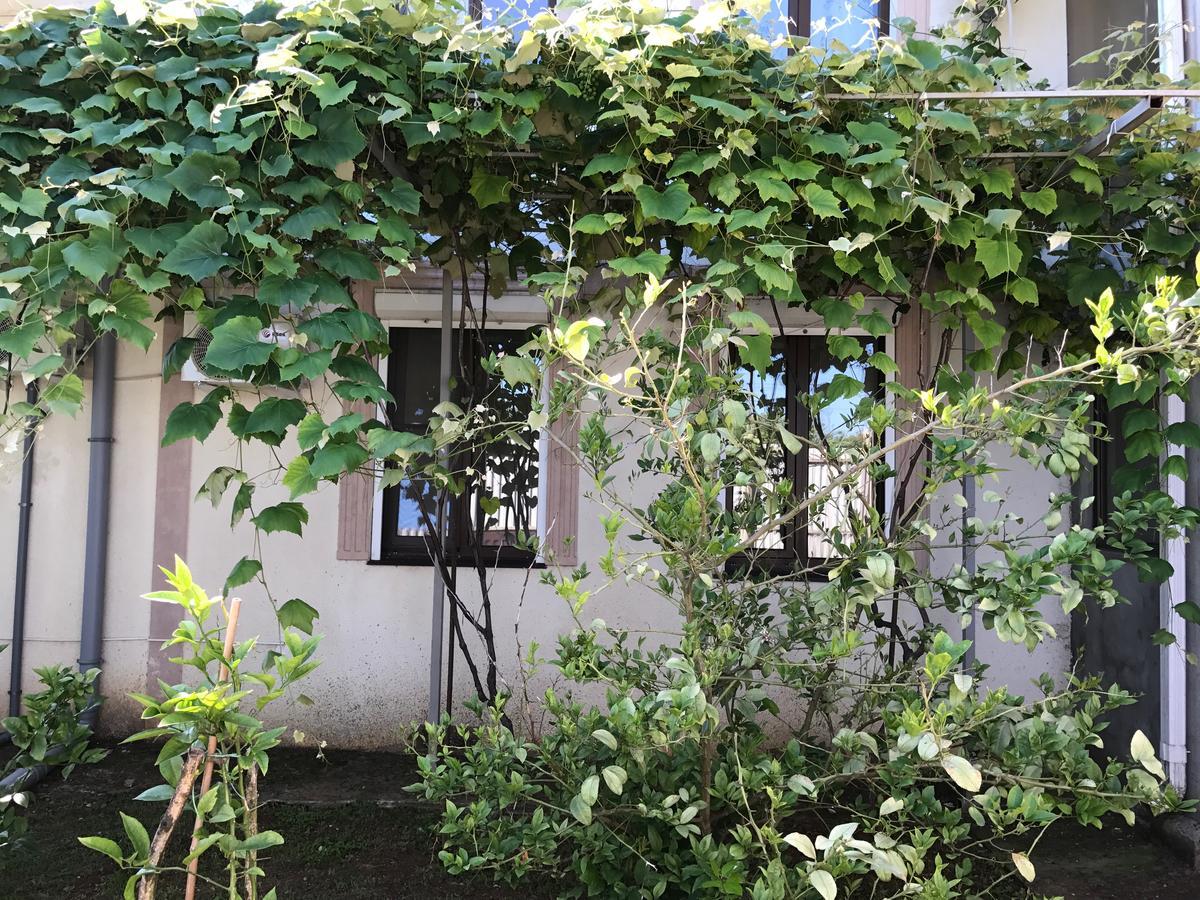 Vse Dlya Vas Guest House Gudauta Bagian luar foto